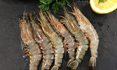 Prawns