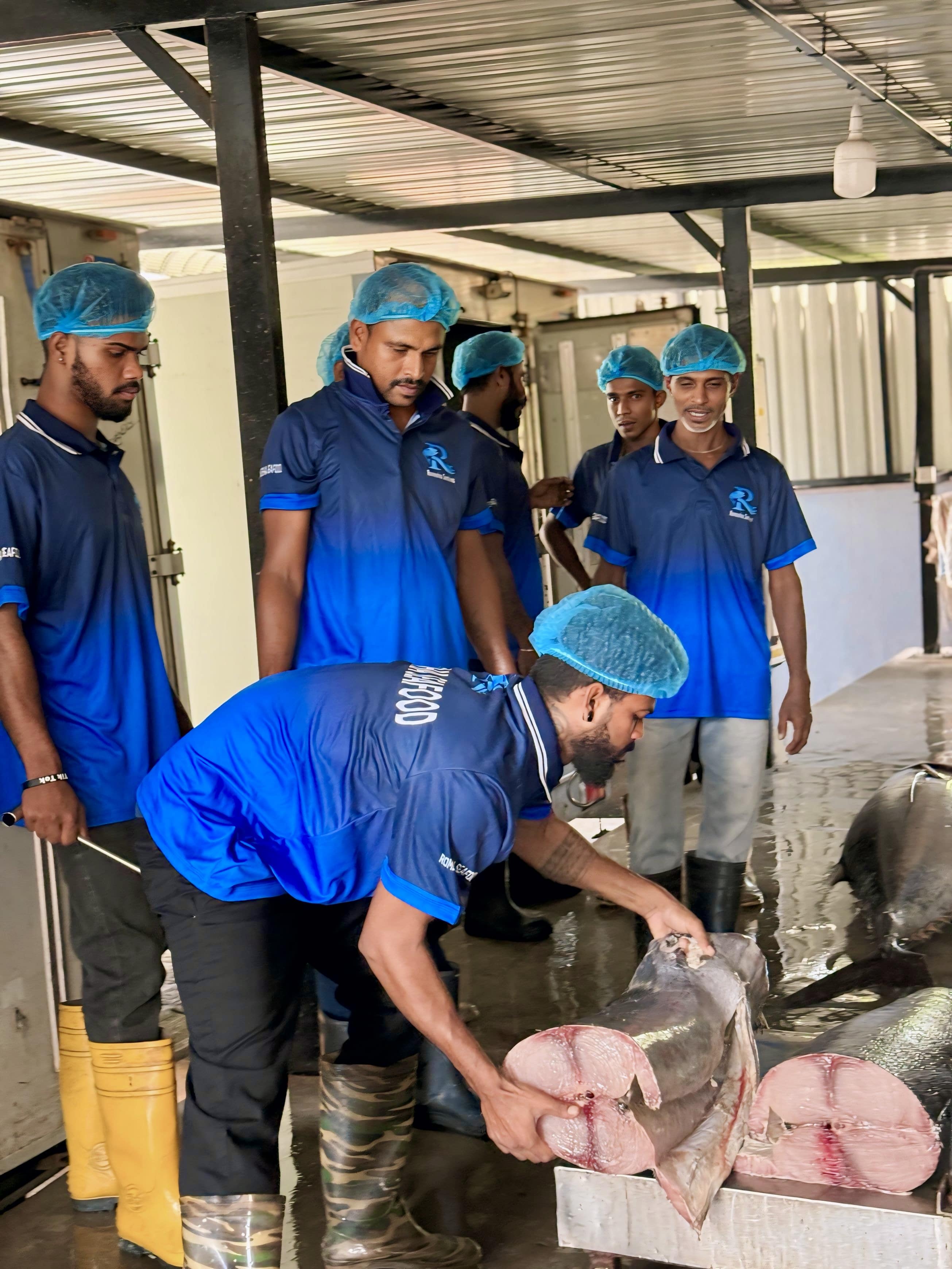 Fishing crew at work